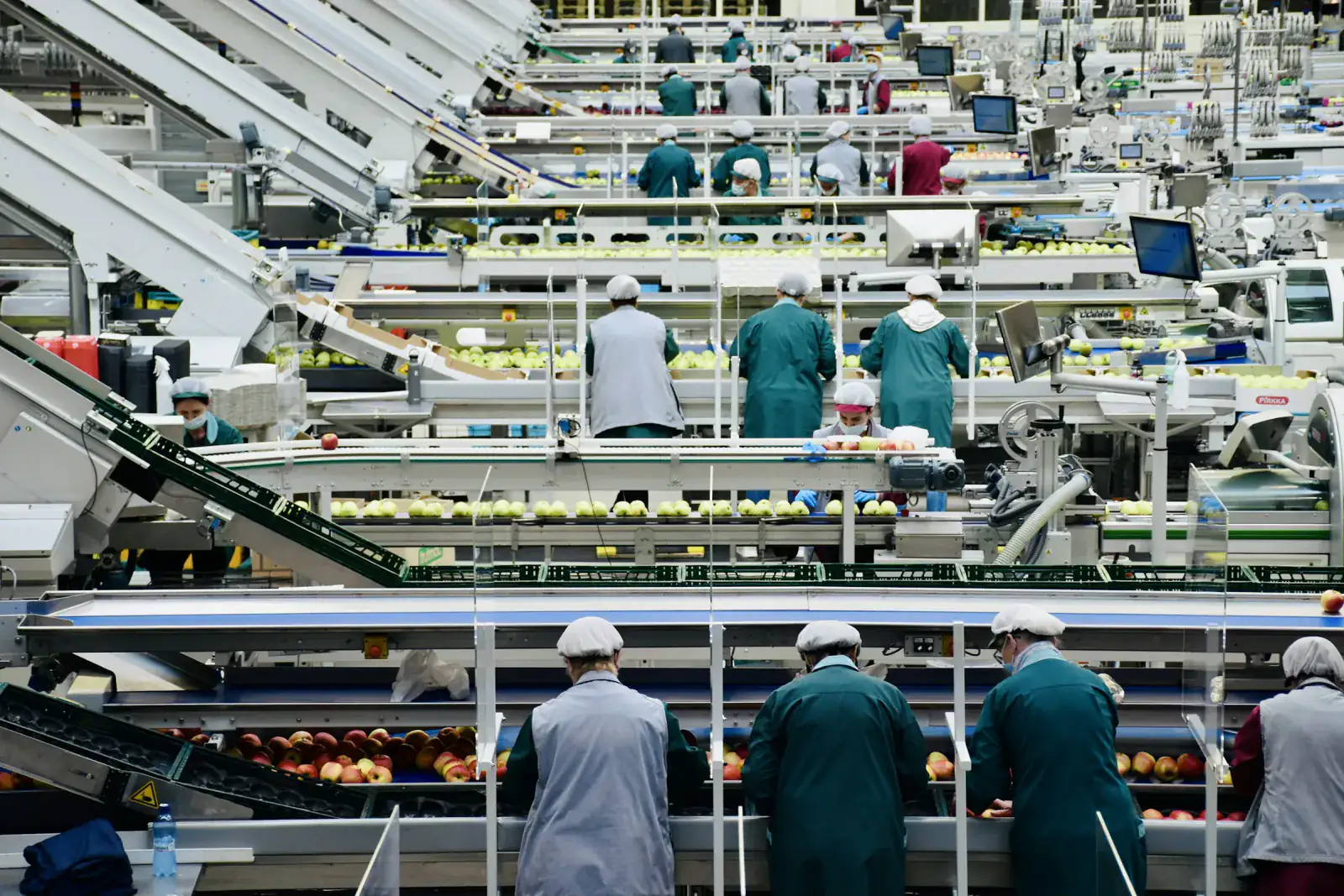 Workers in hairnets and coats sorting apples along conveyor lines inside a fruit processing plant