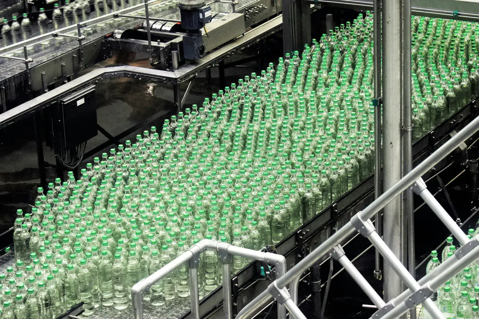 Hundreds of glass bottles moving along a conveyor on an automated bottling and packaging line